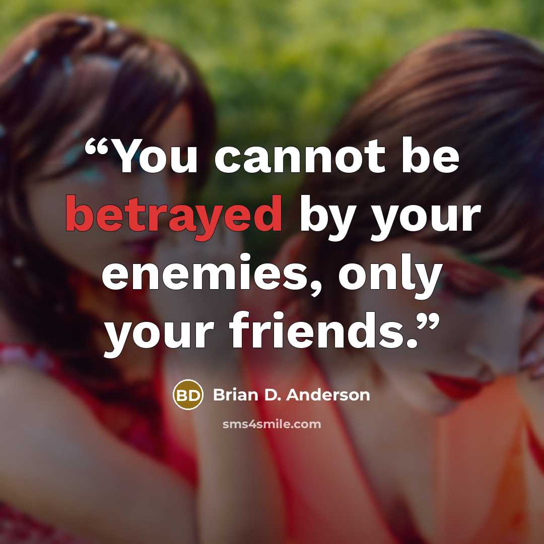 “You cannot be betrayed by your enemies, only your friends.” quote by Brian D. Anderson