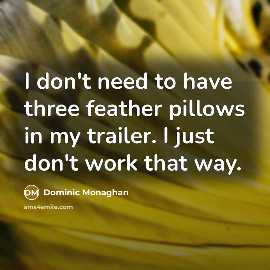 “I don't need to have three feather pillows in my trailer. I just don't work that way.” quote by Dominic Monaghan