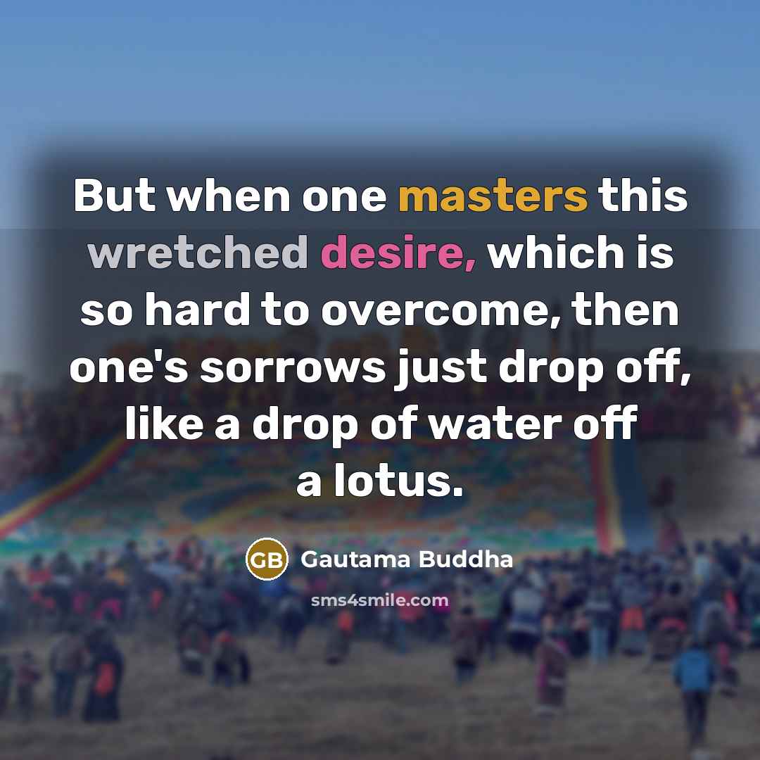 “But when one masters this wretched desire, which is so hard to overcome, then one's sorrows just drop off, like a drop of water off a lotus.” quote by Gautama Buddha