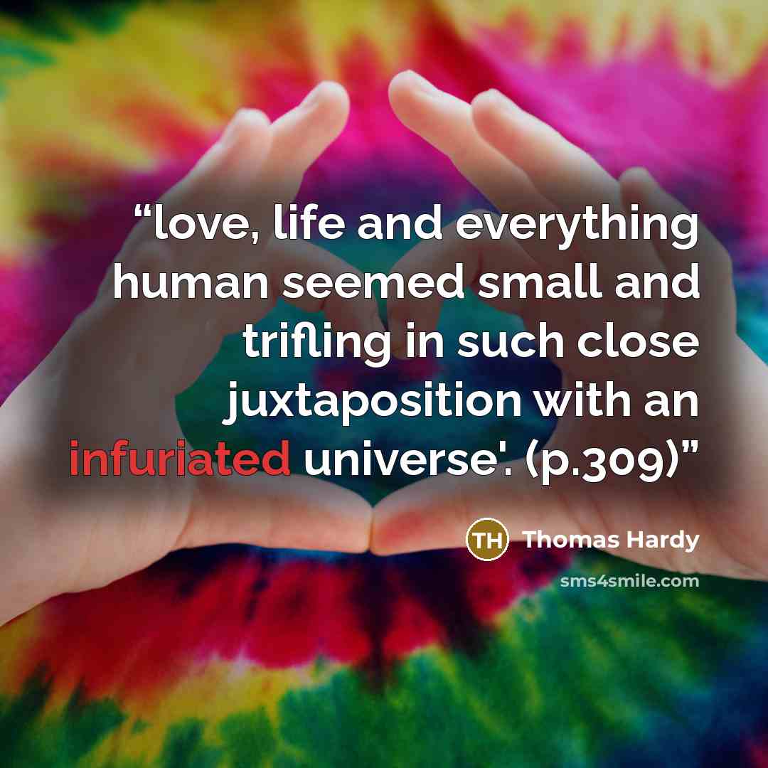 “love, life and everything human seemed small and trifling in such close juxtaposition with an infuriated universe'. (p.309)” quote by Thomas Hardy