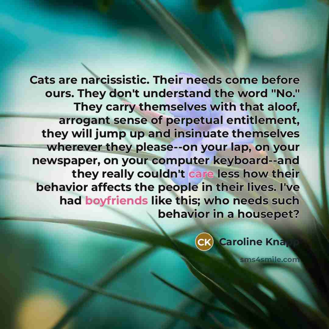 “Cats are narcissistic. Their needs come before ours. They don't understand the word "No." They carry themselves with that aloof, arrogant sense of perpetual entitlement, they will jump up and insinuate themselves wherever they please--on your lap, on your newspaper, on your computer keyboard--and…” quote by Caroline Knapp