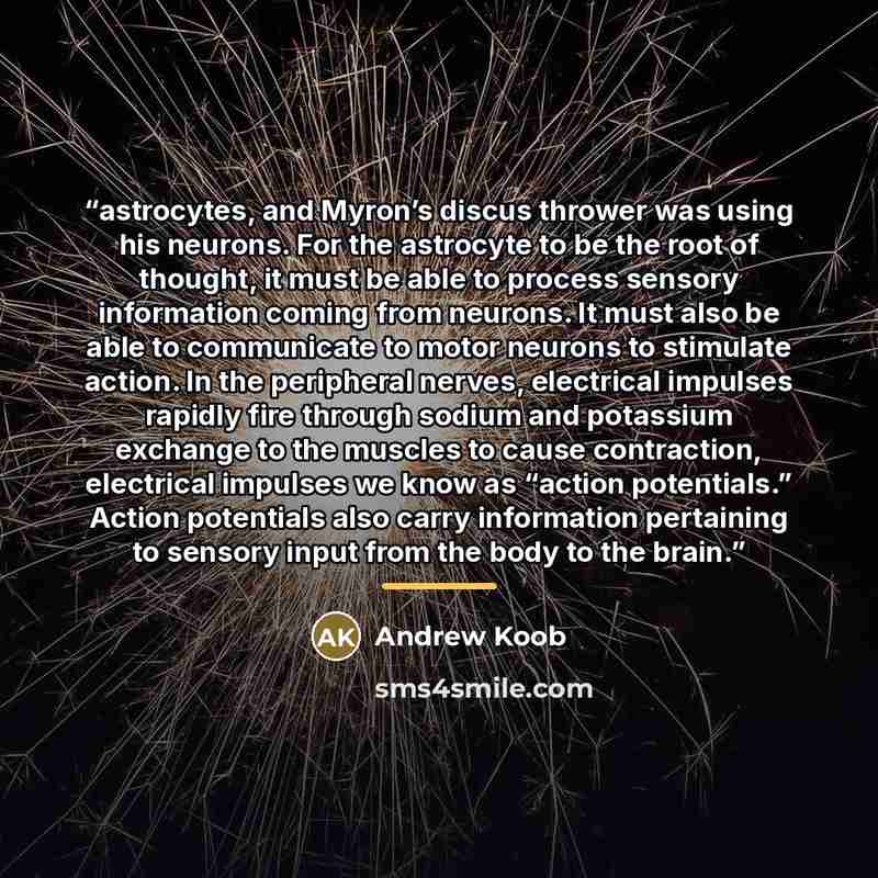 “astrocytes, and Myron’s discus thrower was using his neurons. For the astrocyte to be the root of thought, it must be able to process sensory information coming from neurons. It must also be able to communicate to motor neurons to stimulate action. In the peripheral nerves, electrical impulses…” quote by Andrew Koob