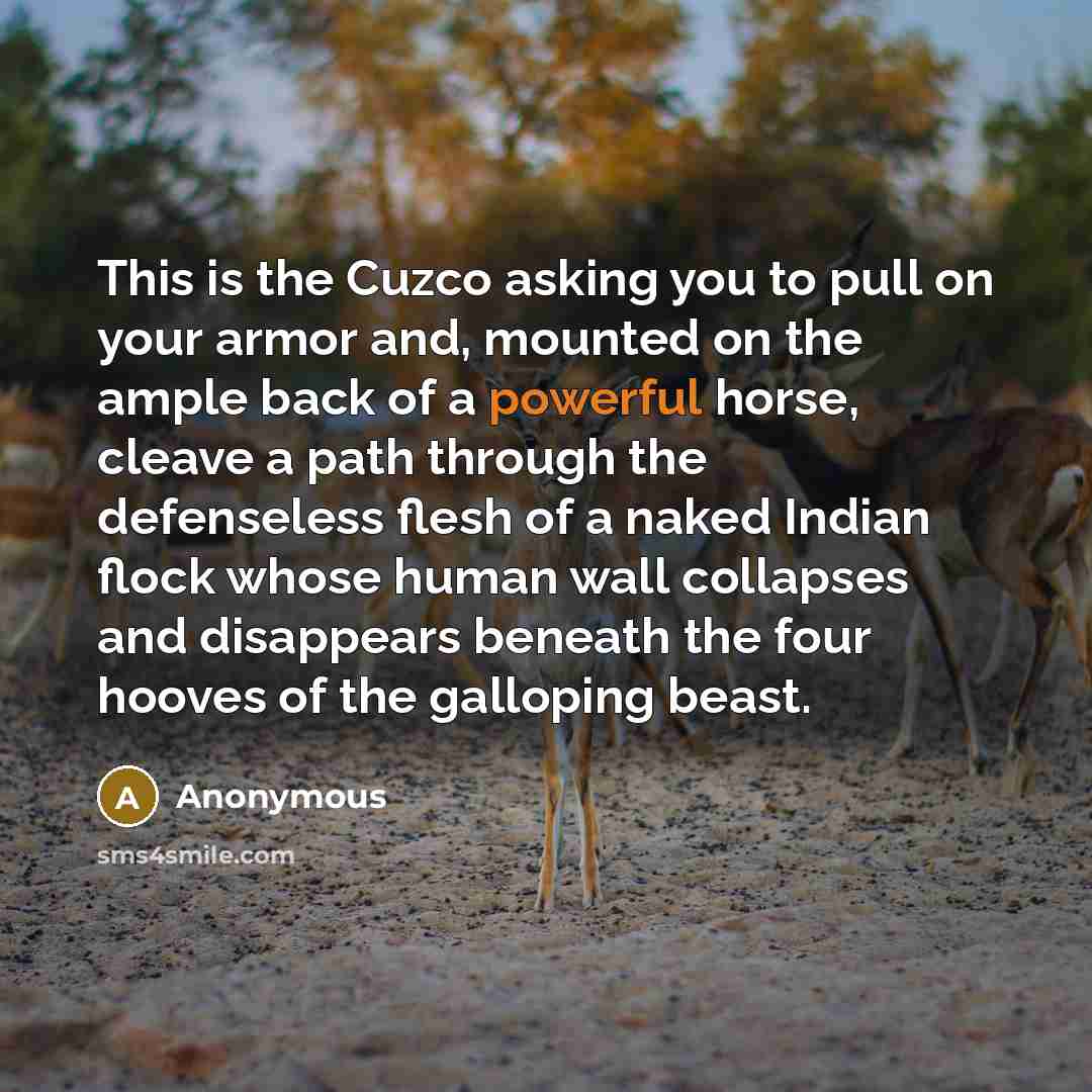 “This is the Cuzco asking you to pull on your armor and, mounted on the ample back of a powerful horse, cleave a path through the defenseless flesh of a naked Indian flock whose human wall collapses and disappears beneath the four hooves of the galloping beast.” quote by Anonymous