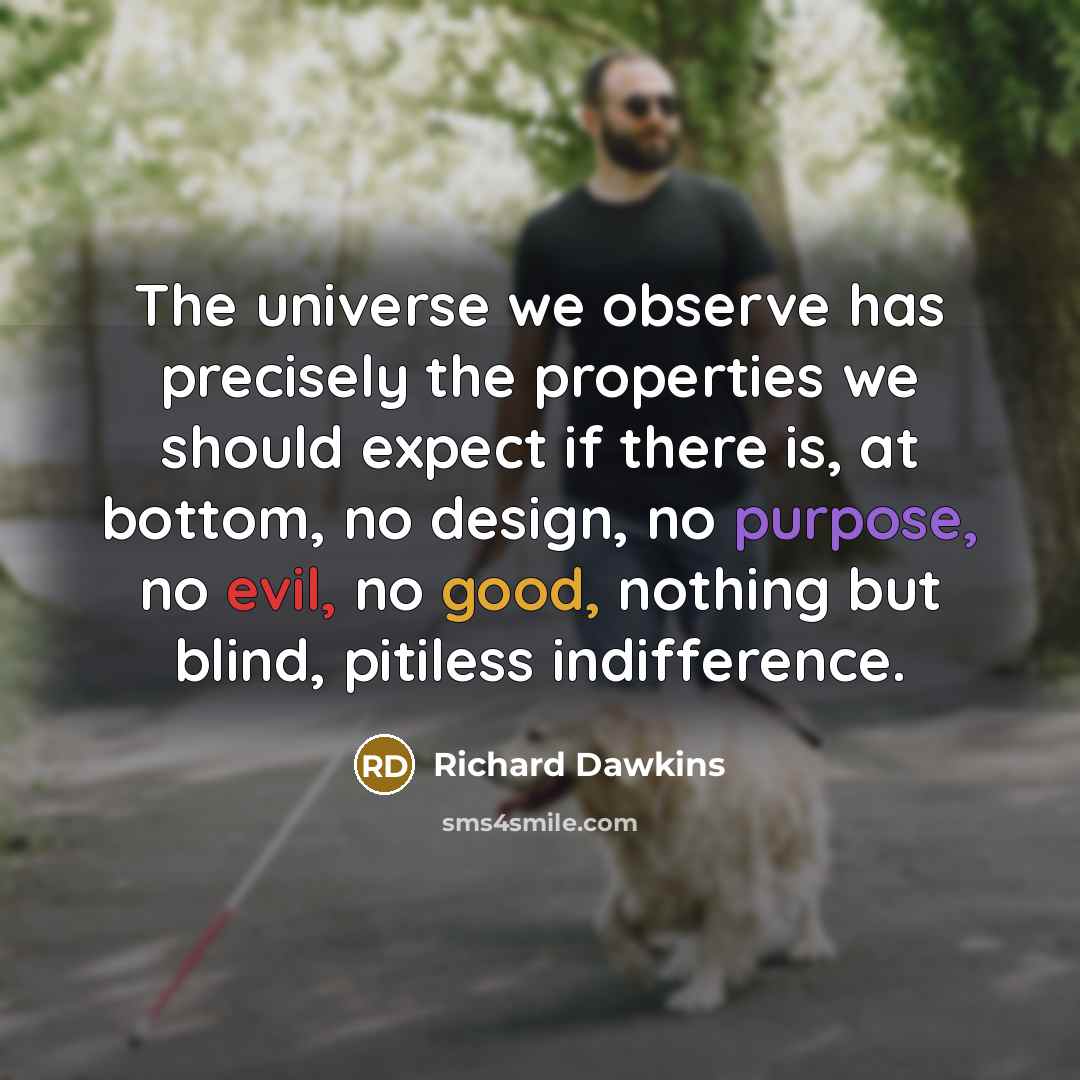 “The universe we observe has precisely the properties we should expect if there is, at bottom, no design, no purpose, no evil, no good, nothing but blind, pitiless indifference.” quote by Richard Dawkins