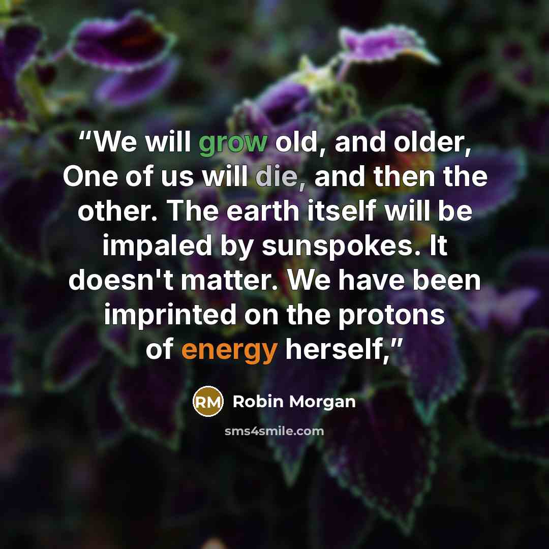 “We will grow old, and older, One of us will die, and then the other. The earth itself will be impaled by sunspokes. It doesn't matter. We have been imprinted on the protons of energy herself,” quote by Robin Morgan