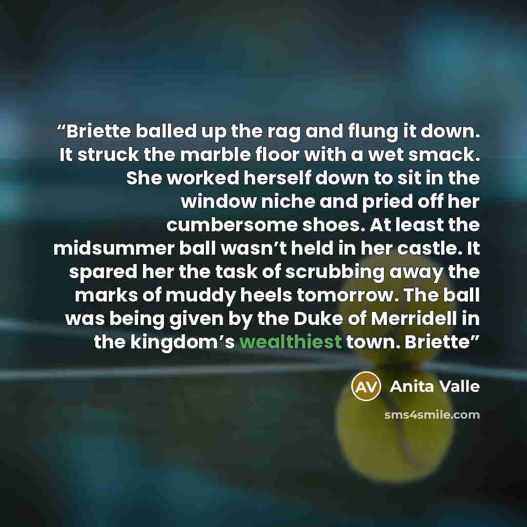 “Briette balled up the rag and flung it down. It struck the marble floor with a wet smack. She worked herself down to sit in the window niche and pried off her cumbersome shoes. At least the midsummer ball wasn’t held in her castle. It spared her the task of scrubbing away the marks of muddy heels…” quote by Anita Valle