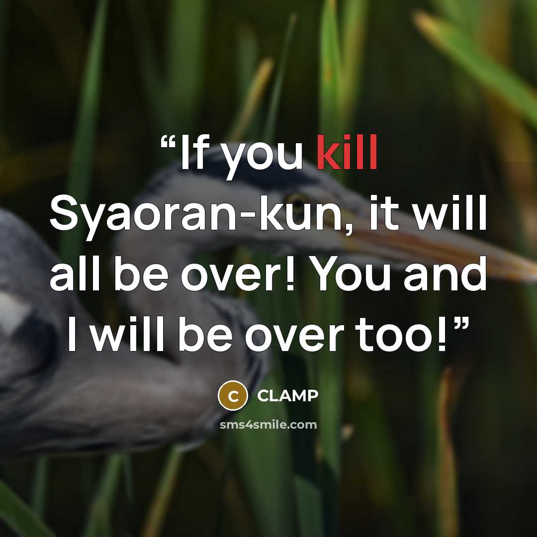 “If you kill Syaoran-kun, it will all be over! You and I will be over too!” quote by CLAMP