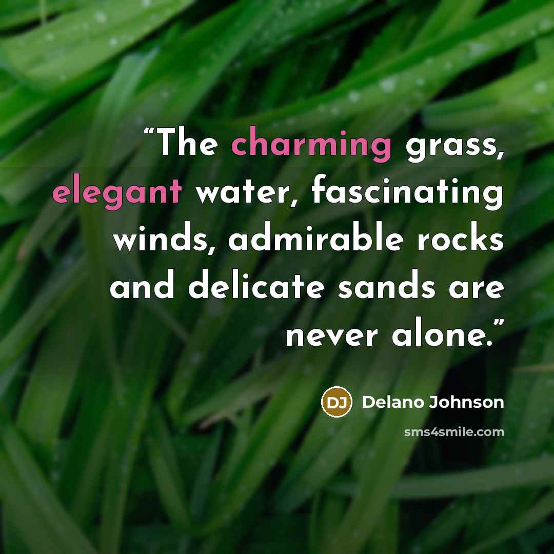 “The charming grass, elegant water, fascinating winds, admirable rocks and delicate sands are never alone.” quote by Delano Johnson