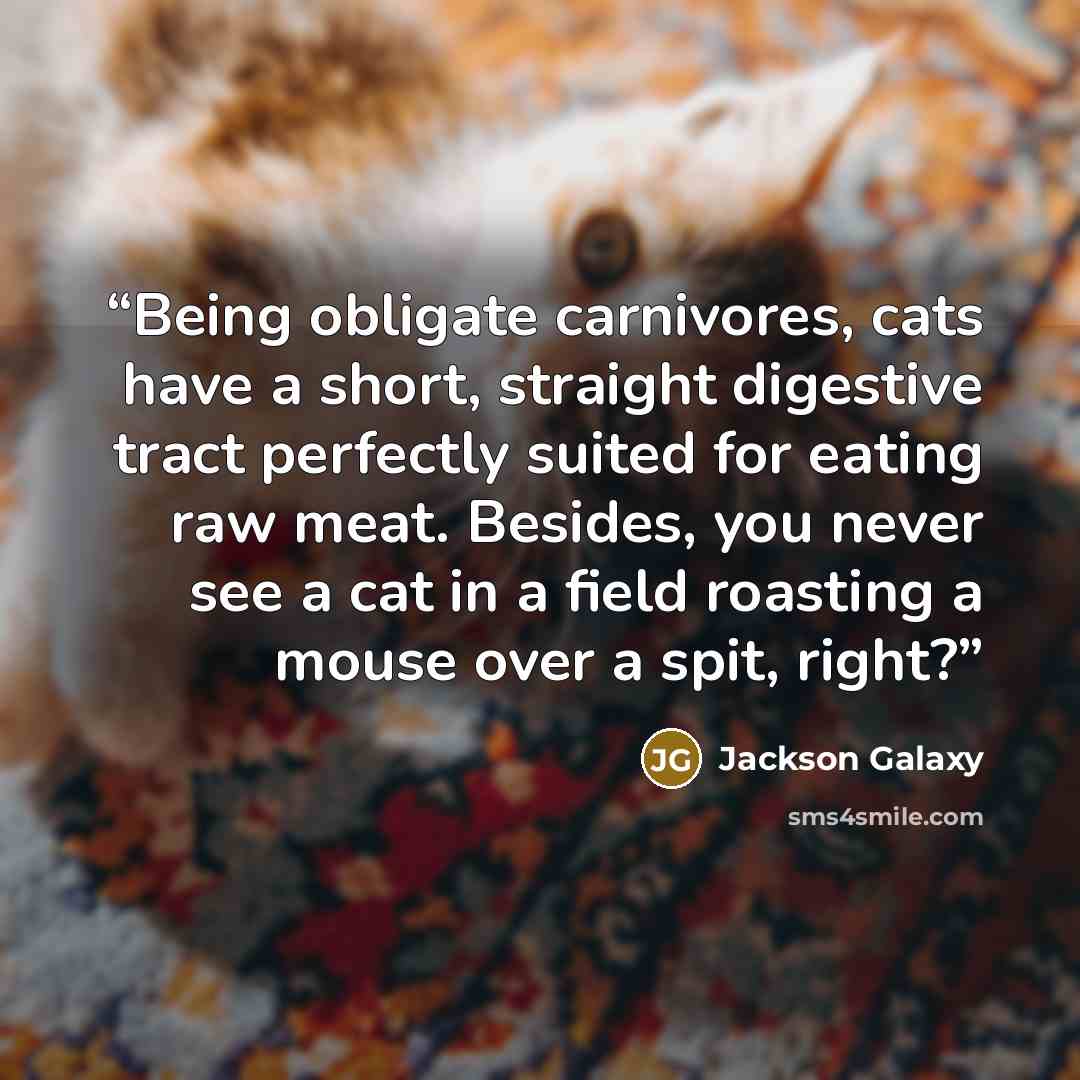 “Being obligate carnivores, cats have a short, straight digestive tract perfectly suited for eating raw meat. Besides, you never see a cat in a field roasting a mouse over a spit, right?” quote by Jackson Galaxy