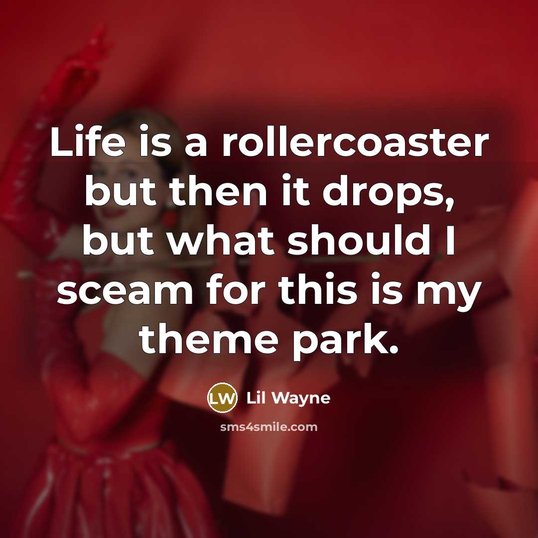 “Life is a rollercoaster but then it drops, but what should I sceam for this is my theme park.” quote by Lil Wayne