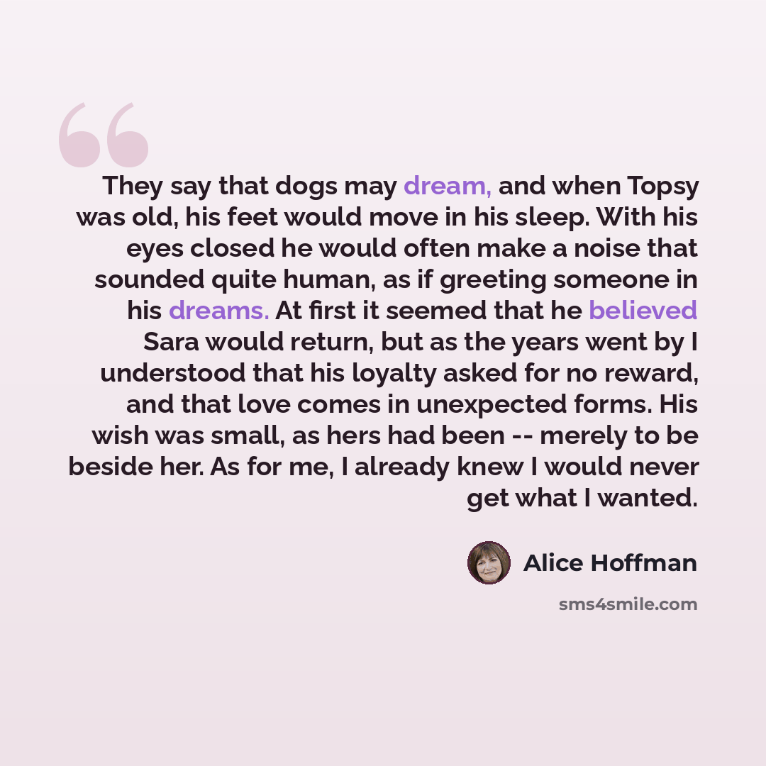 “They say that dogs may dream, and when Topsy was old, his feet would move in his sleep. With his eyes closed he would often make a noise that sounded quite human, as if greeting someone in his dreams. At first it seemed that he believed Sara would return, but as the years went by I understood that…” quote by Alice Hoffman