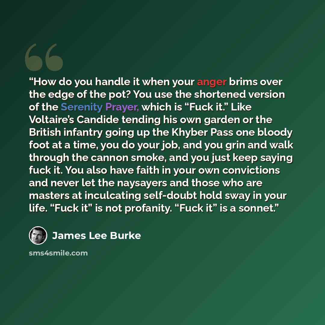 “How do you handle it when your anger brims over the edge of the pot? You use the shortened version of the Serenity Prayer, which is “Fuck it.” Like Voltaire’s Candide tending his own garden or the British infantry going up the Khyber Pass one bloody foot at a time, you do your job, and you grin…” quote by James Lee Burke