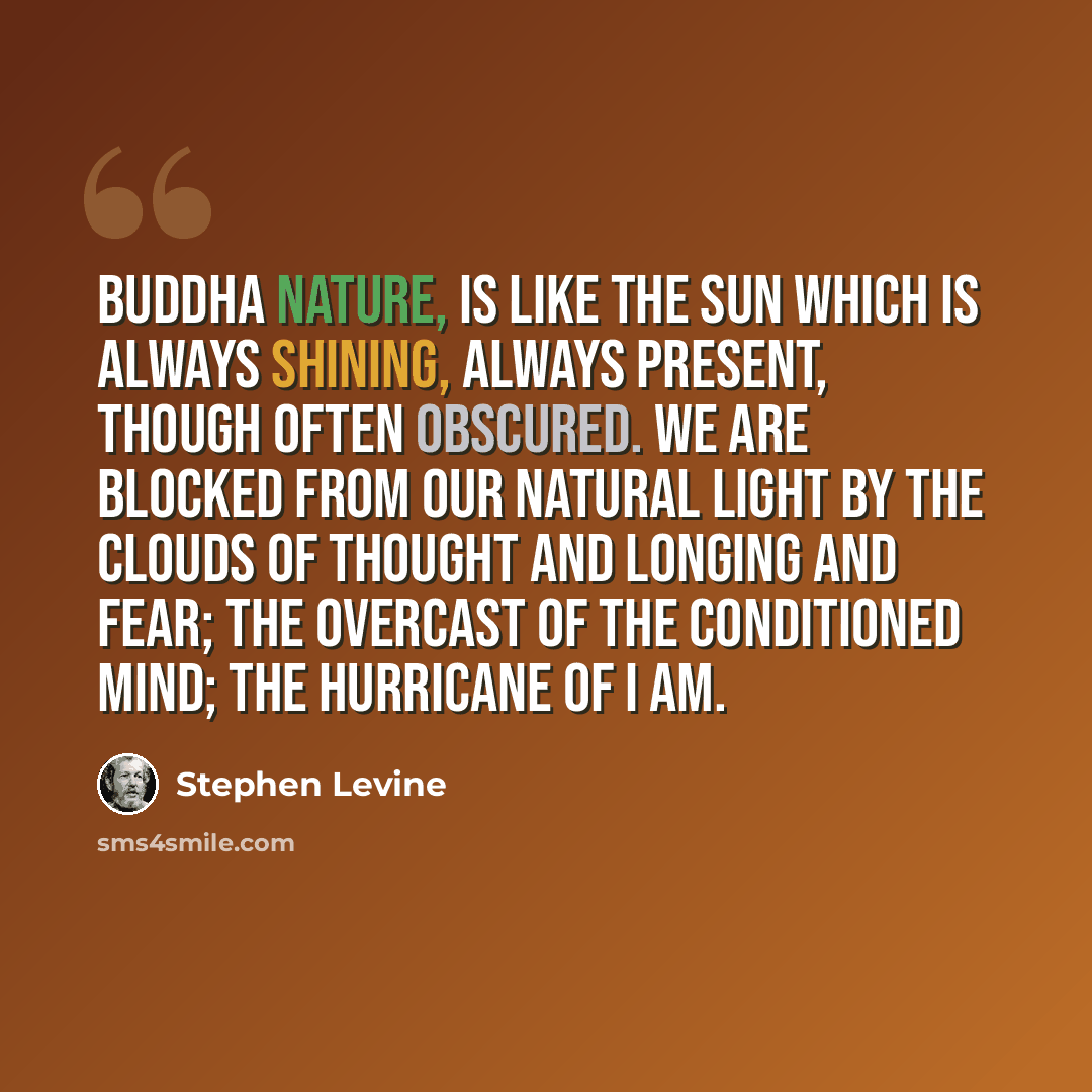 “Buddha nature, is like the sun which is always shining, always present, though often obscured. We are blocked from our natural light by the clouds of thought and longing and fear; the overcast of the conditioned mind; the hurricane of I am.” quote by Stephen Levine