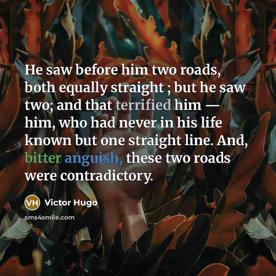 “He saw before him two roads, both equally straight ; but he saw two; and that terrified him — him, who had never in his life known but one straight line. And, bitter anguish, these two roads were contradictory.” quote by Victor Hugo