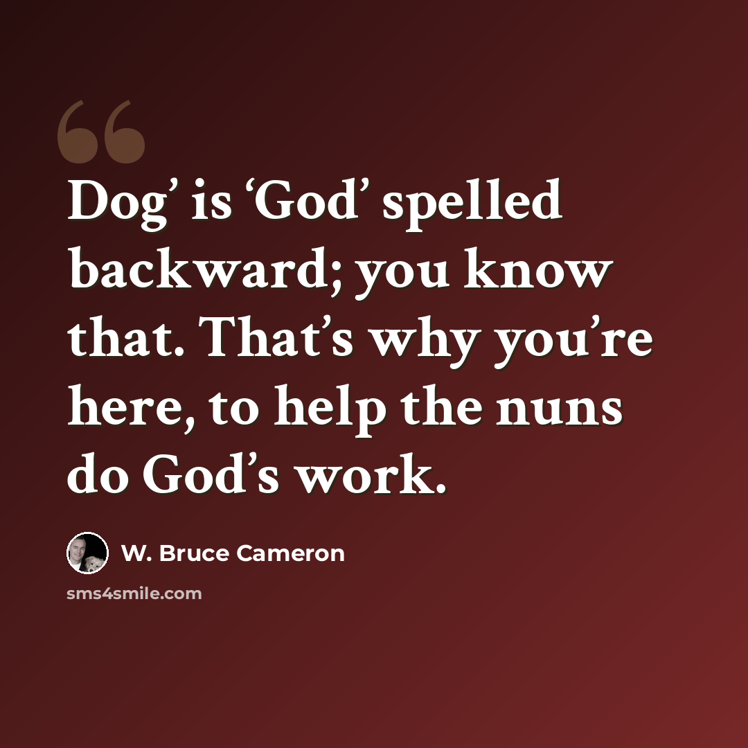 “Dog’ is ‘God’ spelled backward; you know that. That’s why you’re here, to help the nuns do God’s work.” quote by W. Bruce Cameron