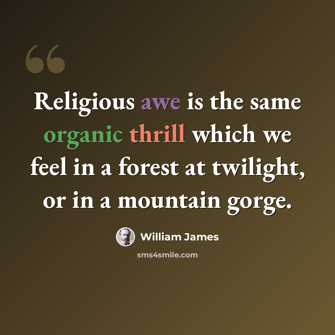 “Religious awe is the same organic thrill which we feel in a forest at twilight, or in a mountain gorge.” quote by William James