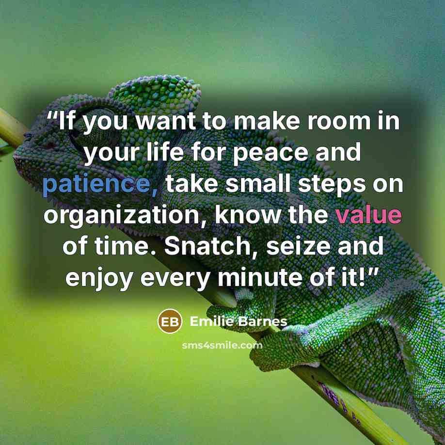 “If you want to make room in your life for peace and patience, take small steps on organization, know the value of time. Snatch, seize and enjoy every minute of it!” quote by Emilie Barnes