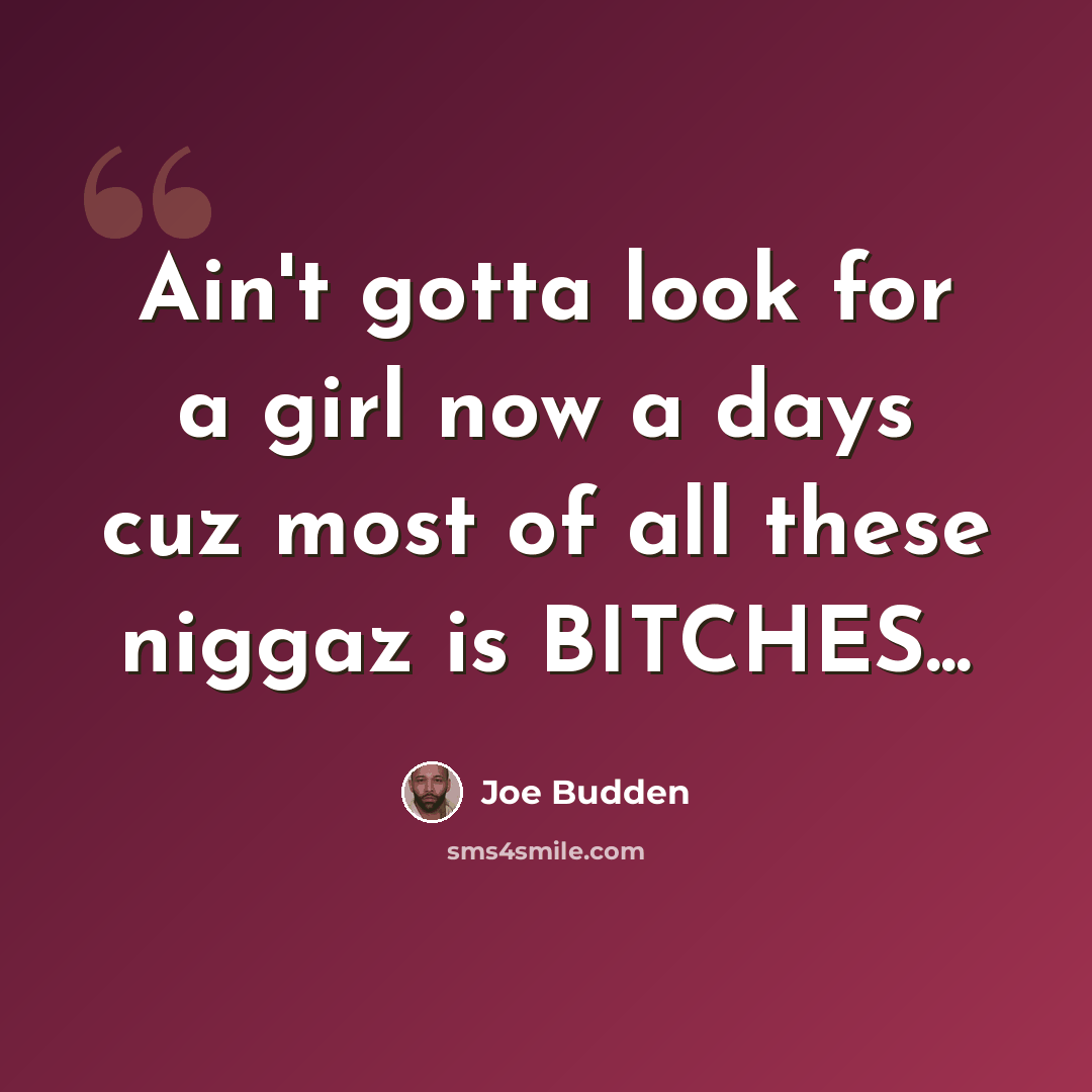 “Ain't gotta look for a girl now a days cuz most of all these niggaz is BITCHES...” quote by Joe Budden
