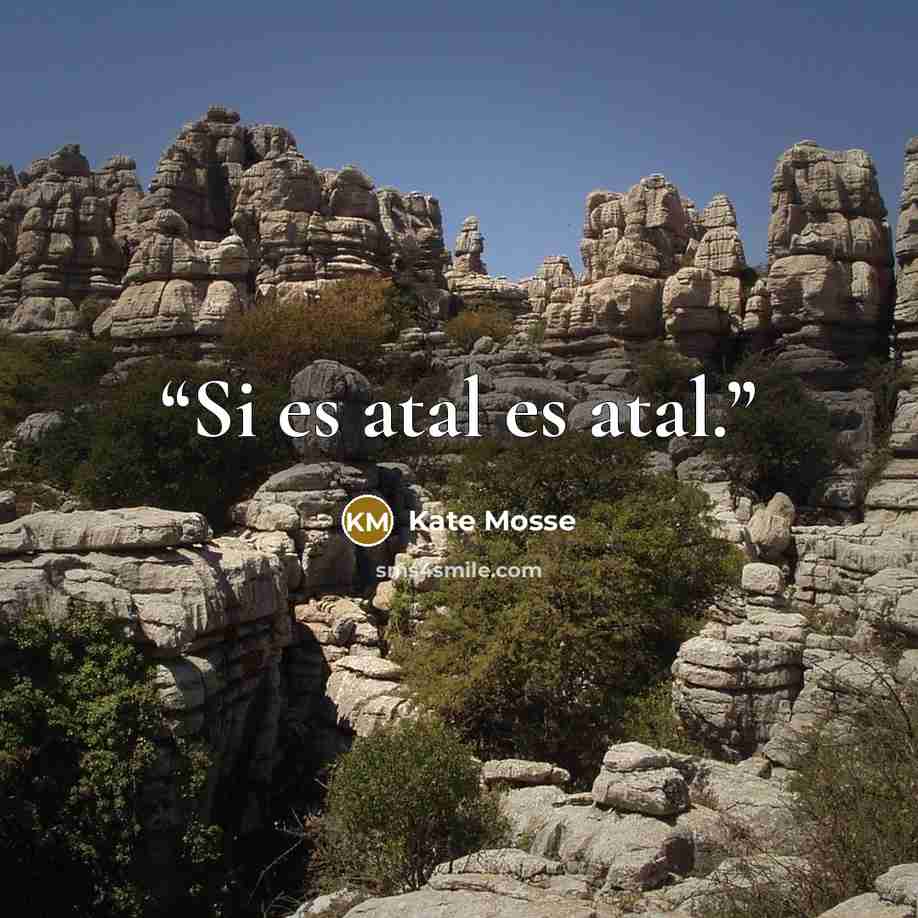 “Si es atal es atal.” quote by Kate Mosse