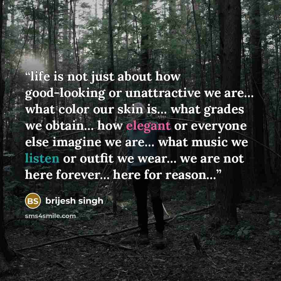 “life is not just about how good-looking or unattractive we are… what color our skin is… what grades we obtain… how elegant or everyone else imagine we are… what music we listen or outfit we wear… we are not here forever… here for reason…” quote by brijesh singh