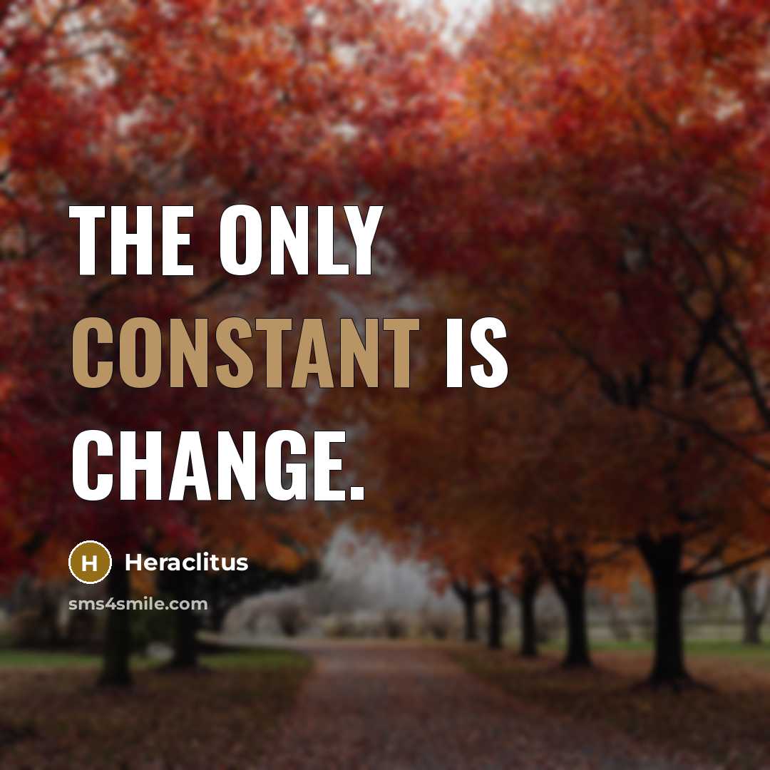 “The only constant is change.” quote by Heraclitus
