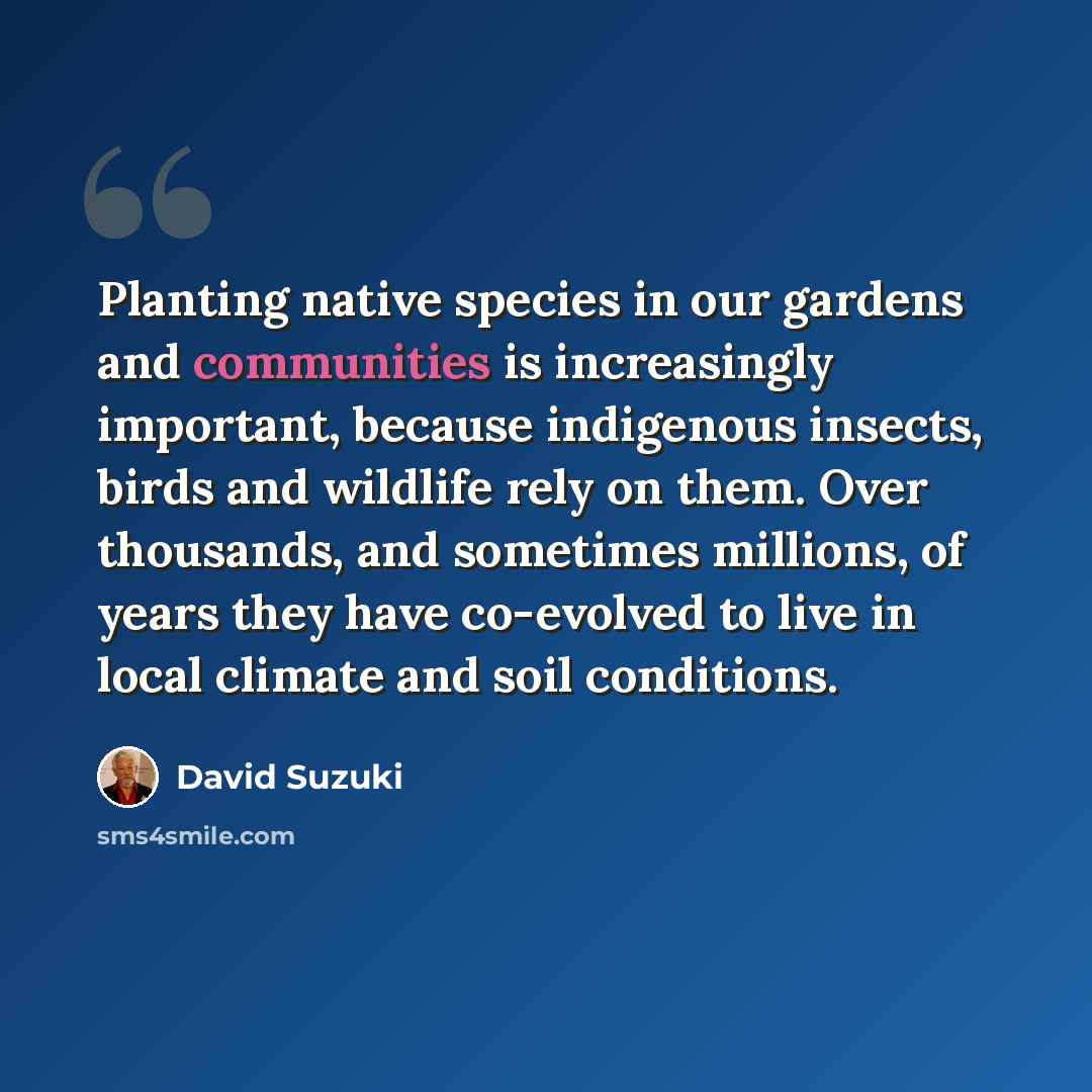 “Planting native species in our gardens and communities is increasingly important, because indigenous insects, birds and wildlife rely on them. Over thousands, and sometimes millions, of years they have co-evolved to live in local climate and soil conditions.” quote by David Suzuki