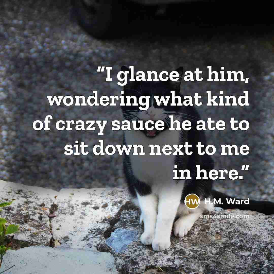 “I glance at him, wondering what kind of crazy sauce he ate to sit down next to me in here.” quote by H.M. Ward