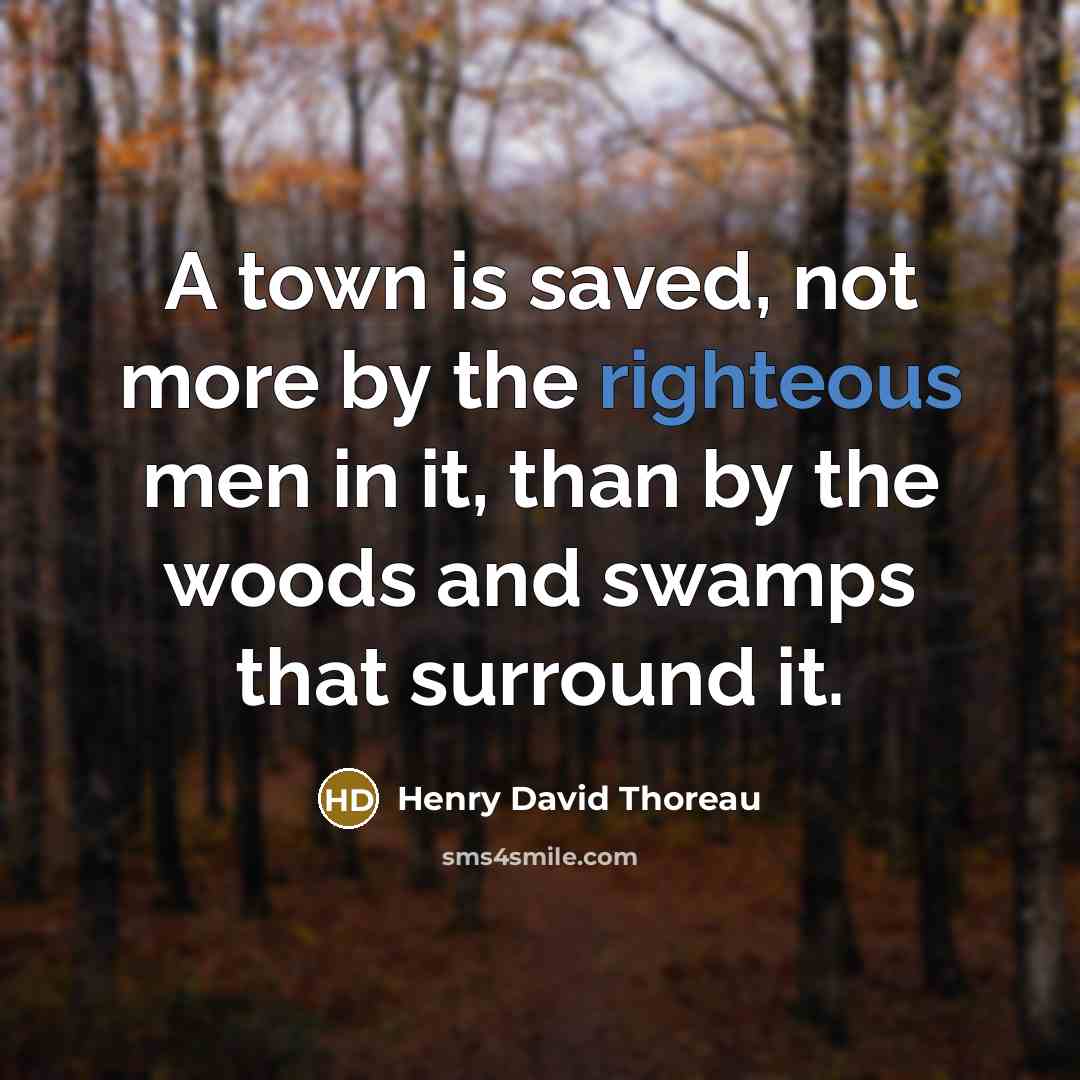 “A town is saved, not more by the righteous men in it, than by the woods and swamps that surround it.” quote by Henry David Thoreau