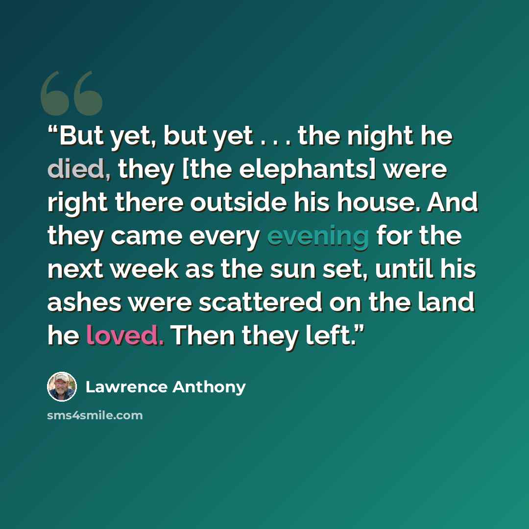 “But yet, but yet . . . the night he died, they [the elephants] were right there outside his house. And they came every evening for the next week as the sun set, until his ashes were scattered on the land he loved. Then they left.” quote by Lawrence Anthony