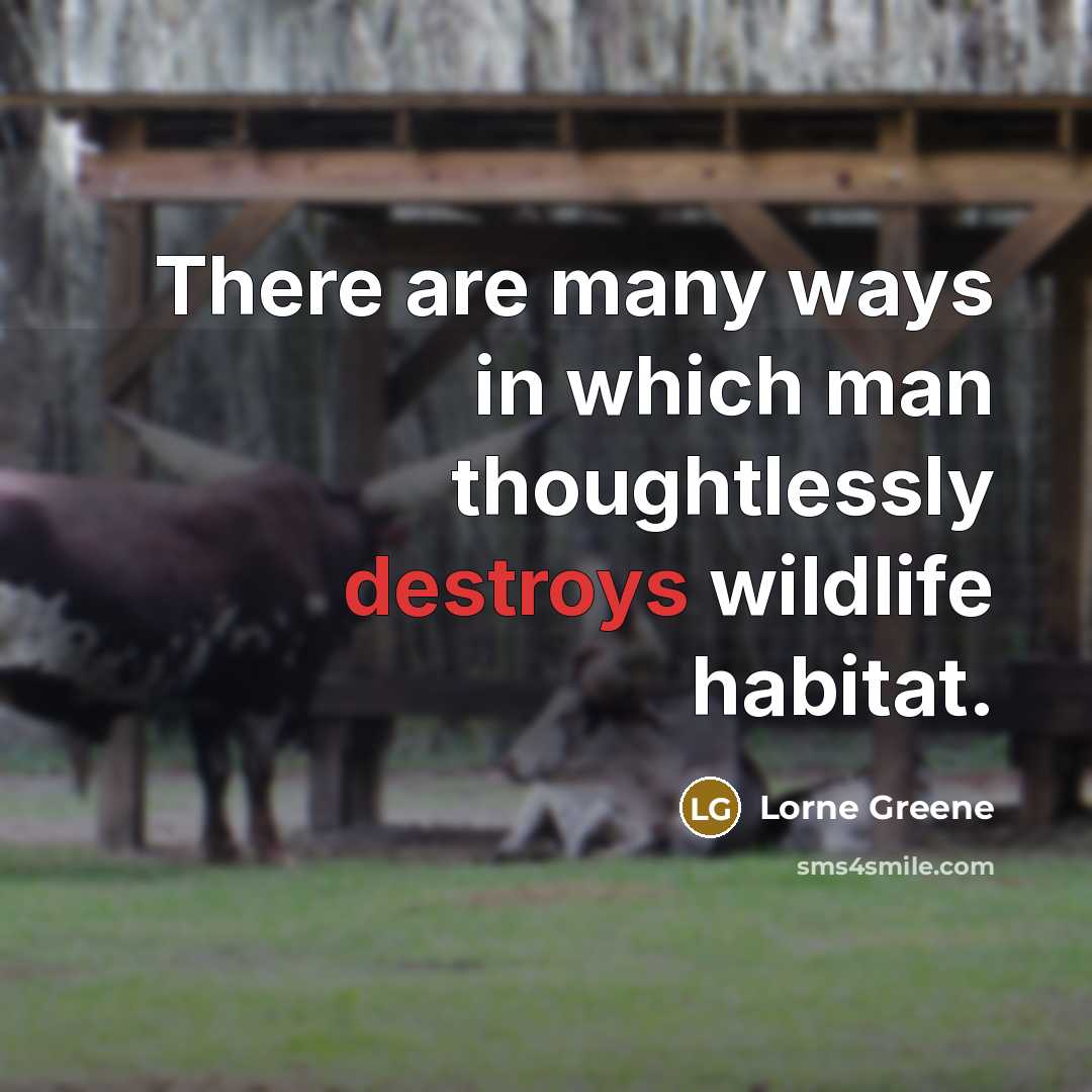 “There are many ways in which man thoughtlessly destroys wildlife habitat.” quote by Lorne Greene