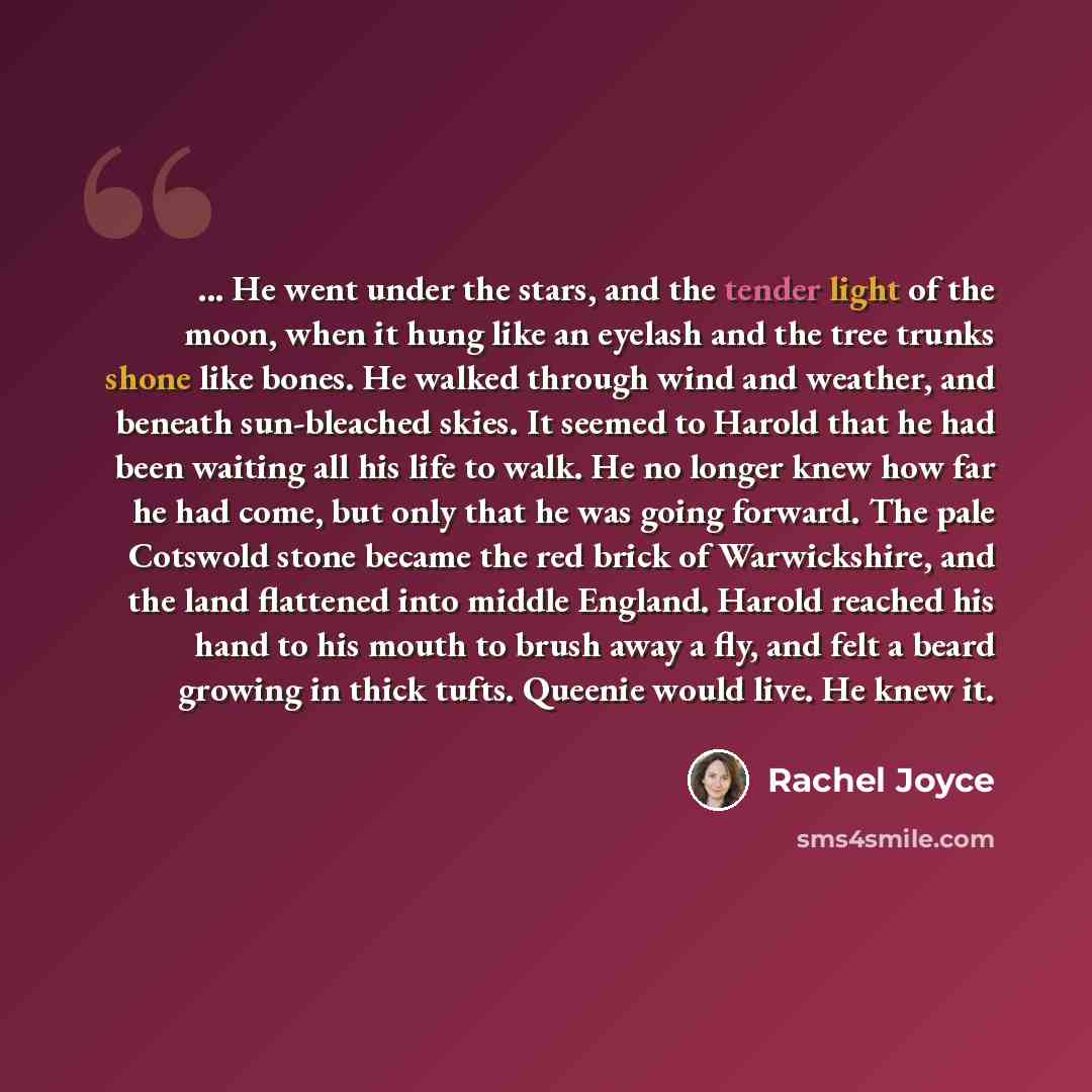 “... He went under the stars, and the tender light of the moon, when it hung like an eyelash and the tree trunks shone like bones. He walked through wind and weather, and beneath sun-bleached skies. It seemed to Harold that he had been waiting all his life to walk. He no longer knew how far he had…” quote by Rachel Joyce