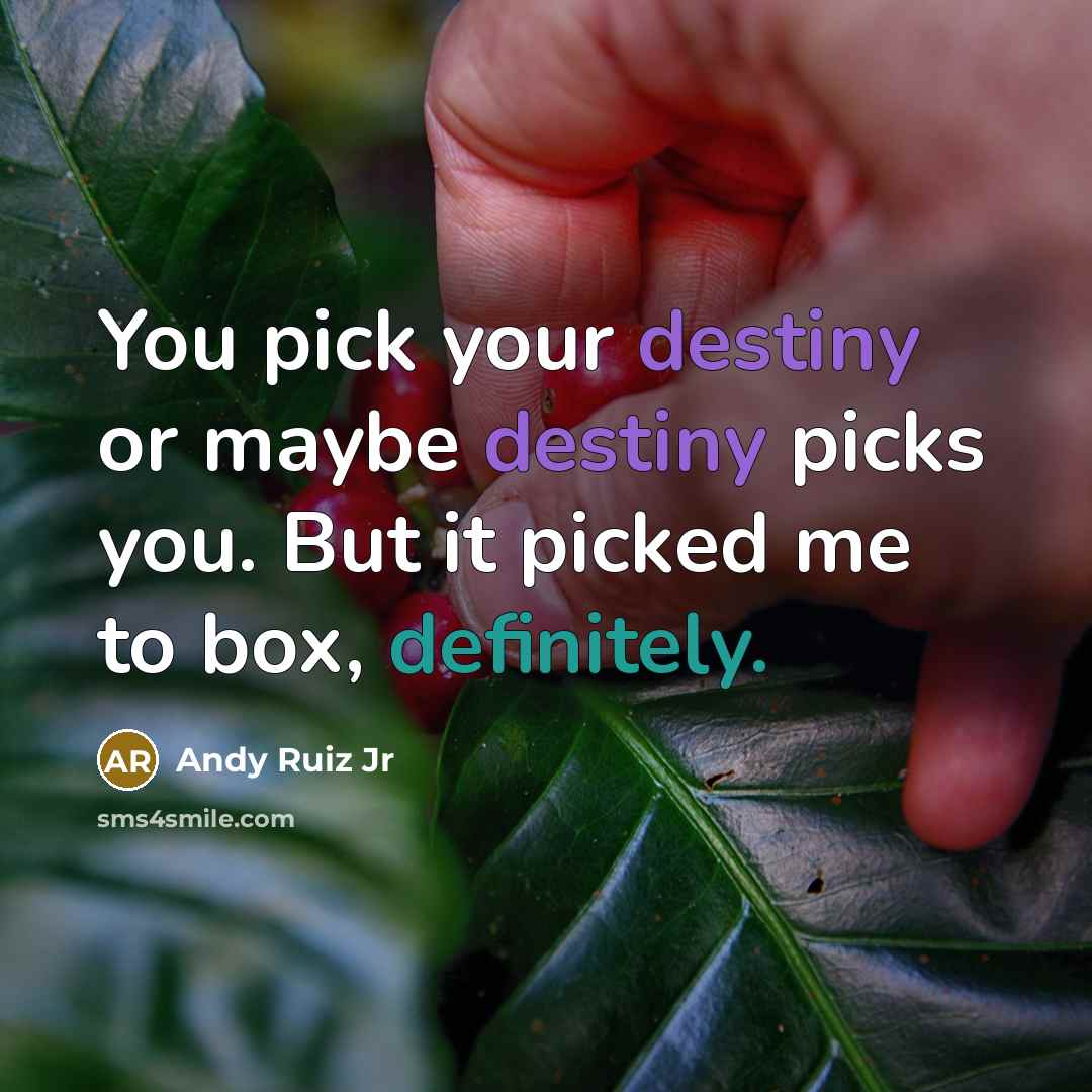 “You pick your destiny or maybe destiny picks you. But it picked me to box, definitely.” quote by Andy Ruiz Jr