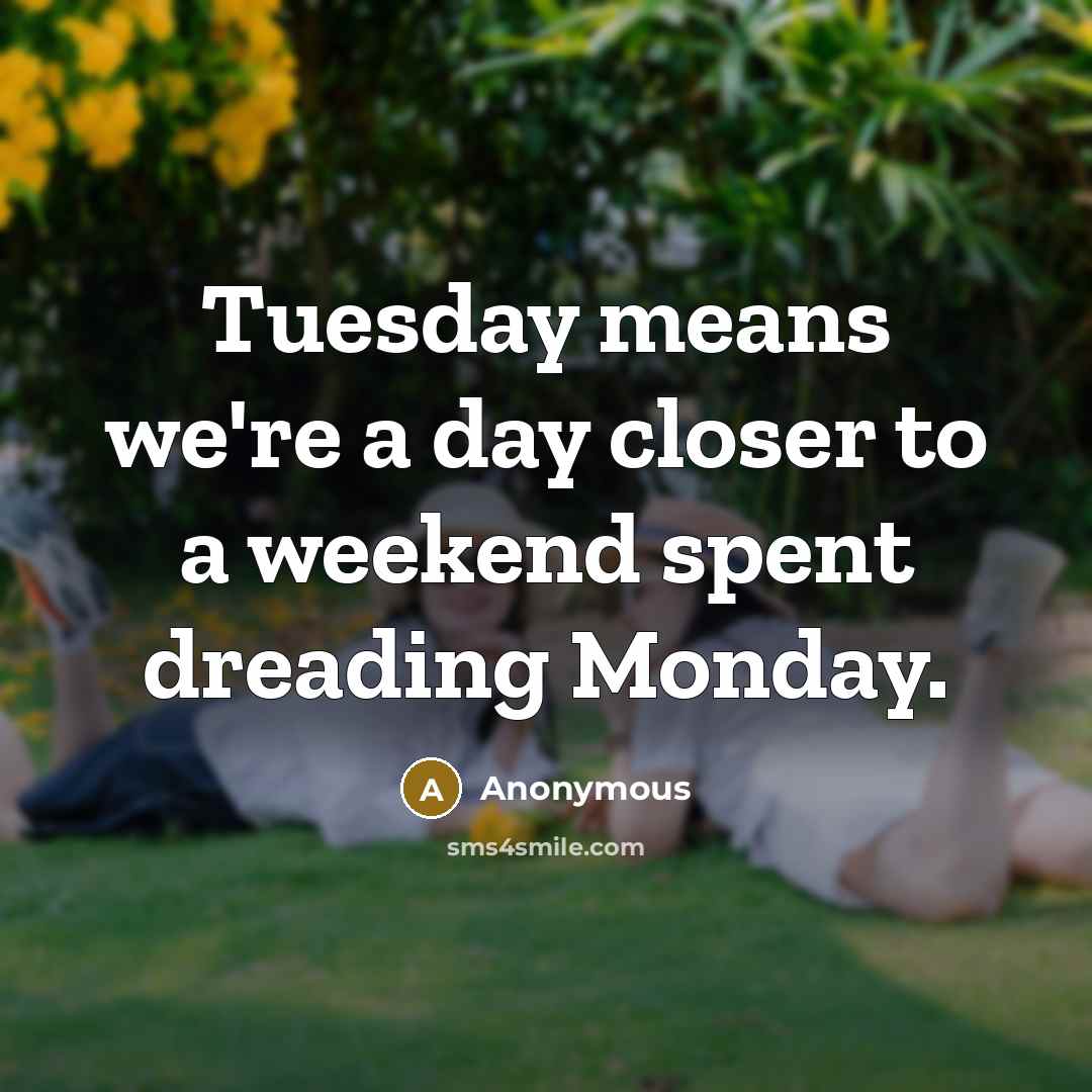 “Tuesday means we're a day closer to a weekend spent dreading Monday.” quote by Anonymous
