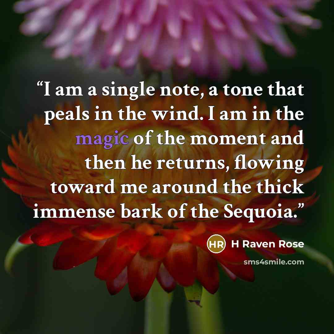 “I am a single note, a tone that peals in the wind. I am in the magic of the moment and then he returns, flowing toward me around the thick immense bark of the Sequoia.” quote by H Raven Rose