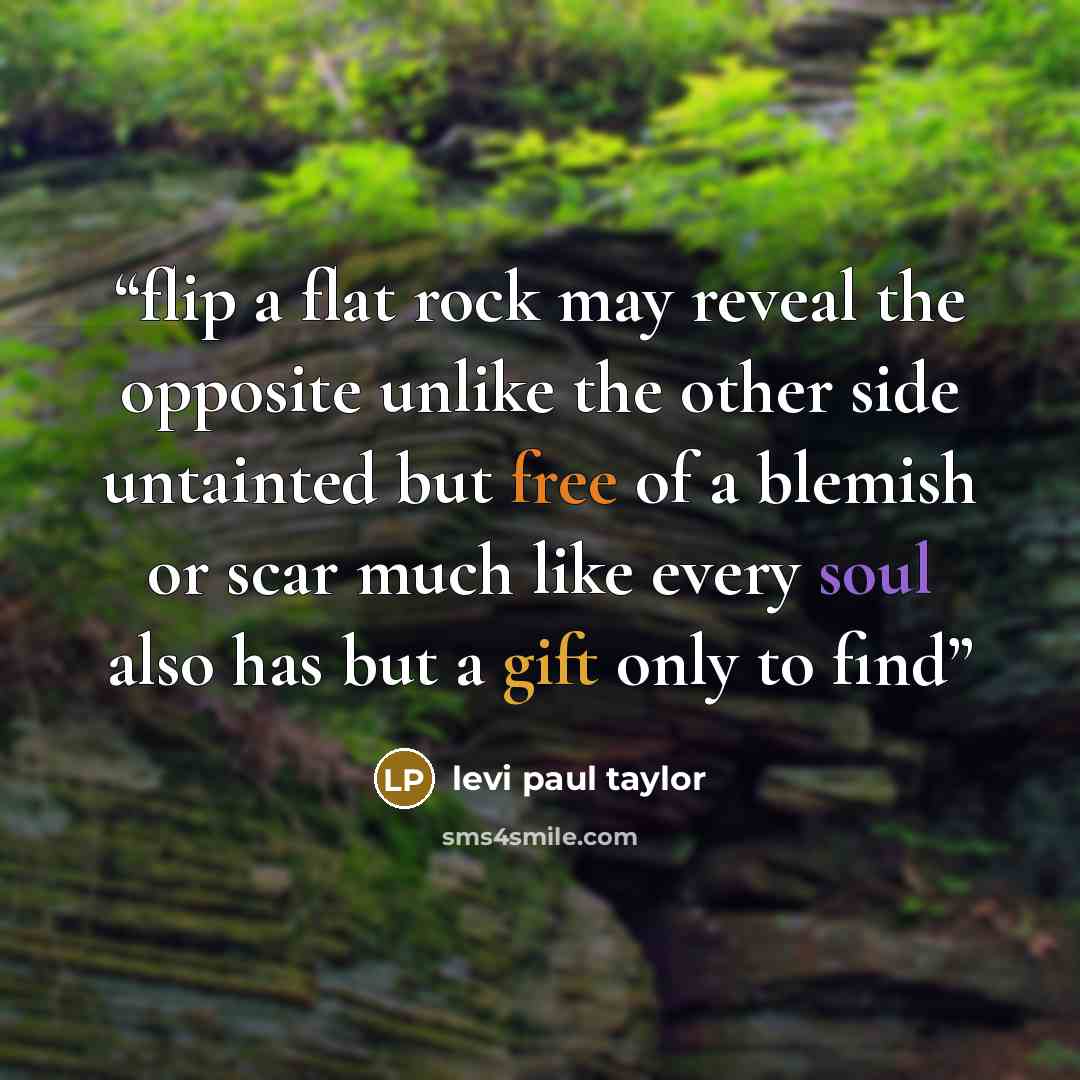“flip a flat rock may reveal the opposite unlike the other side untainted but free of a blemish or scar much like every soul also has but a gift only to find” quote by levi paul taylor