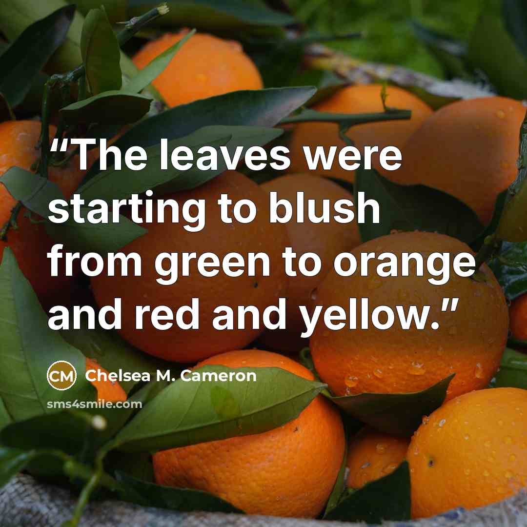 “The leaves were starting to blush from green to orange and red and yellow.” quote by Chelsea M. Cameron
