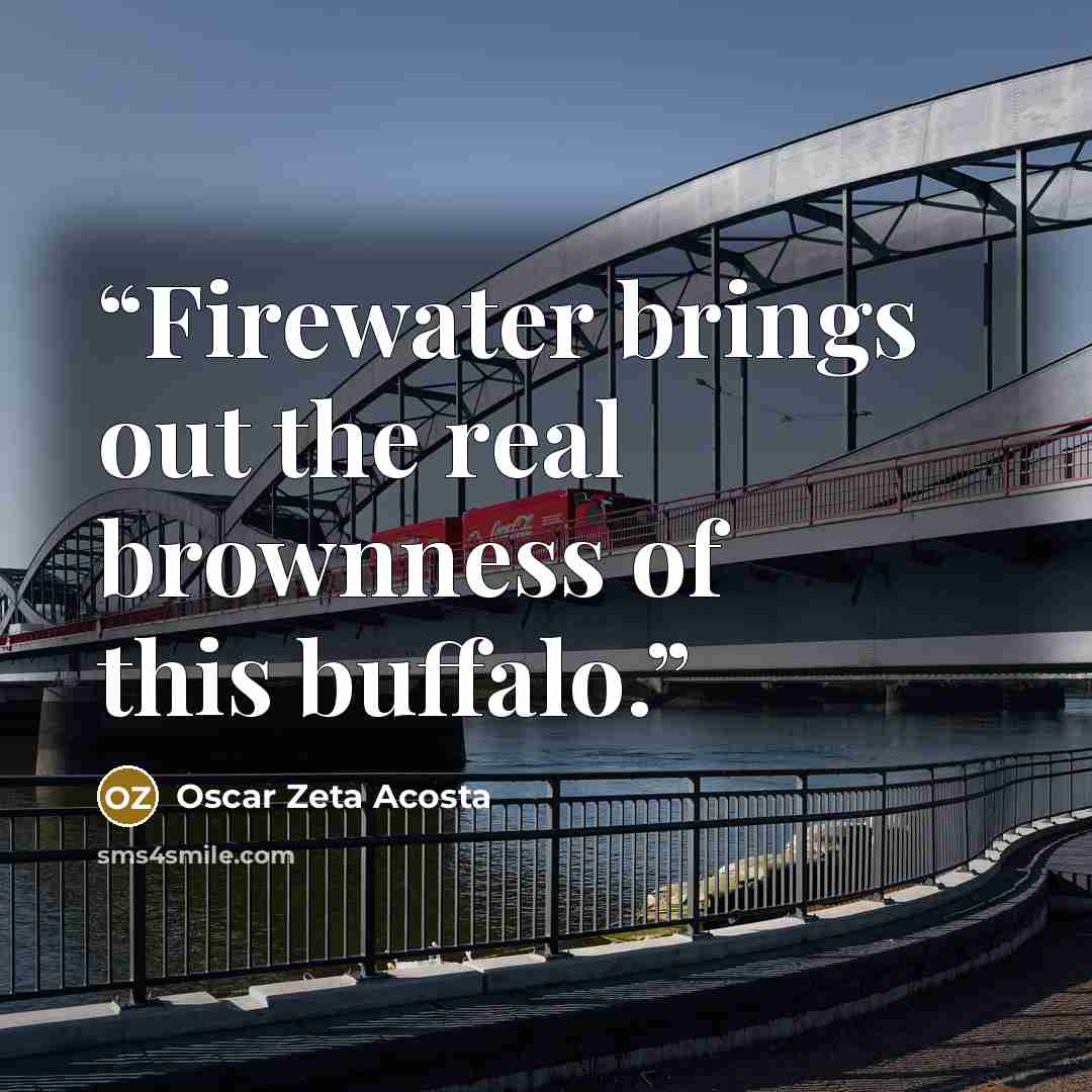 “Firewater brings out the real brownness of this buffalo.” quote by Oscar Zeta Acosta