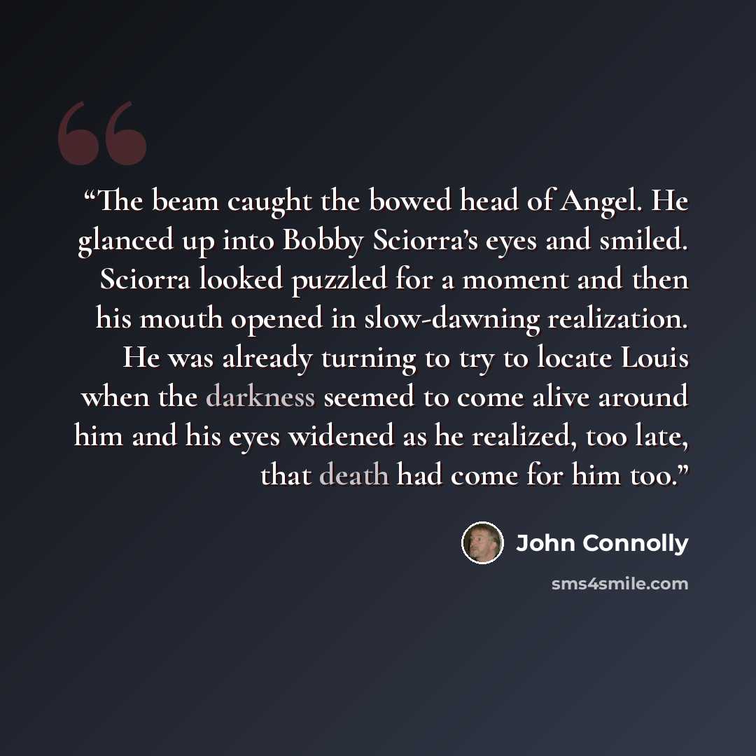 “The beam caught the bowed head of Angel. He glanced up into Bobby Sciorra’s eyes and smiled. Sciorra looked puzzled for a moment and then his mouth opened in slow-dawning realization. He was already turning to try to locate Louis when the darkness seemed to come alive around him and his eyes…” quote by John Connolly