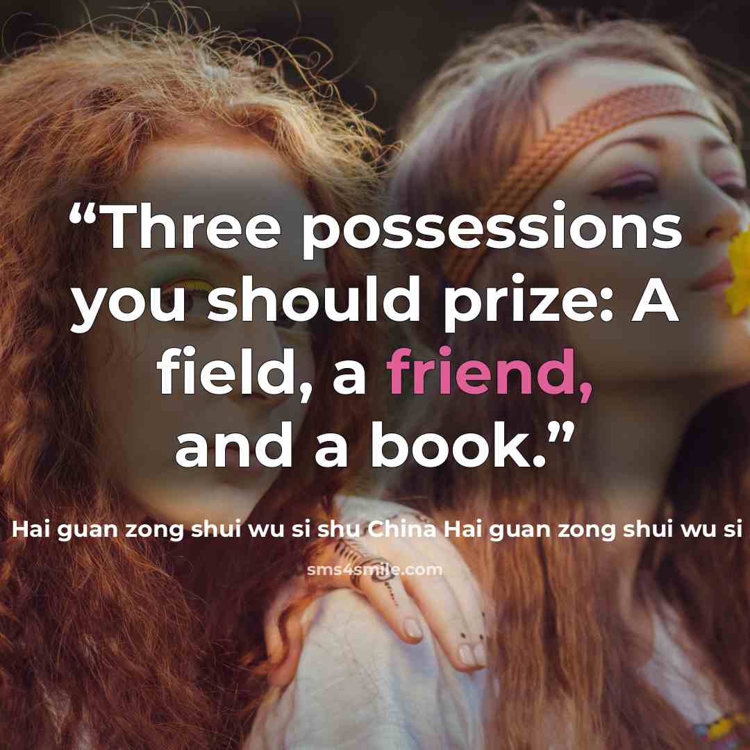 “Three possessions you should prize: A field, a friend, and a book.” quote by Hai guan zong shui wu si shu China Hai guan zong shui wu si shu