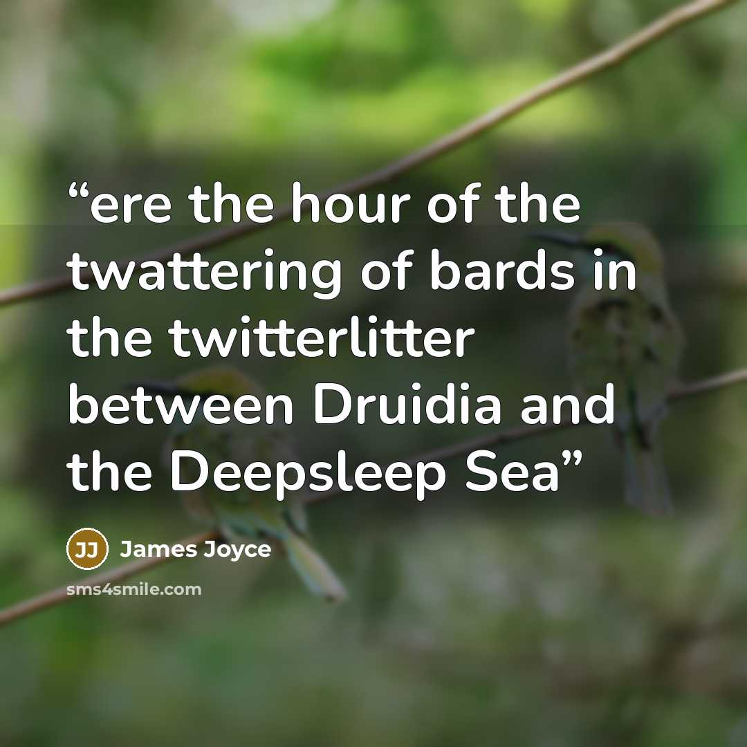 “ere the hour of the twattering of bards in the twitterlitter between Druidia and the Deepsleep Sea” quote by James Joyce