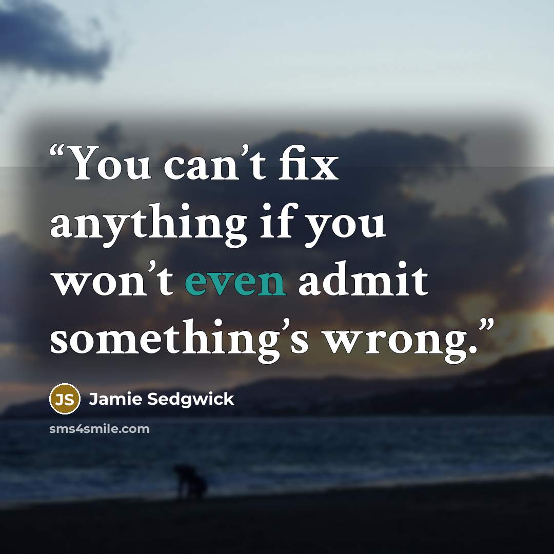 “You can’t fix anything if you won’t even admit something’s wrong.” quote by Jamie Sedgwick