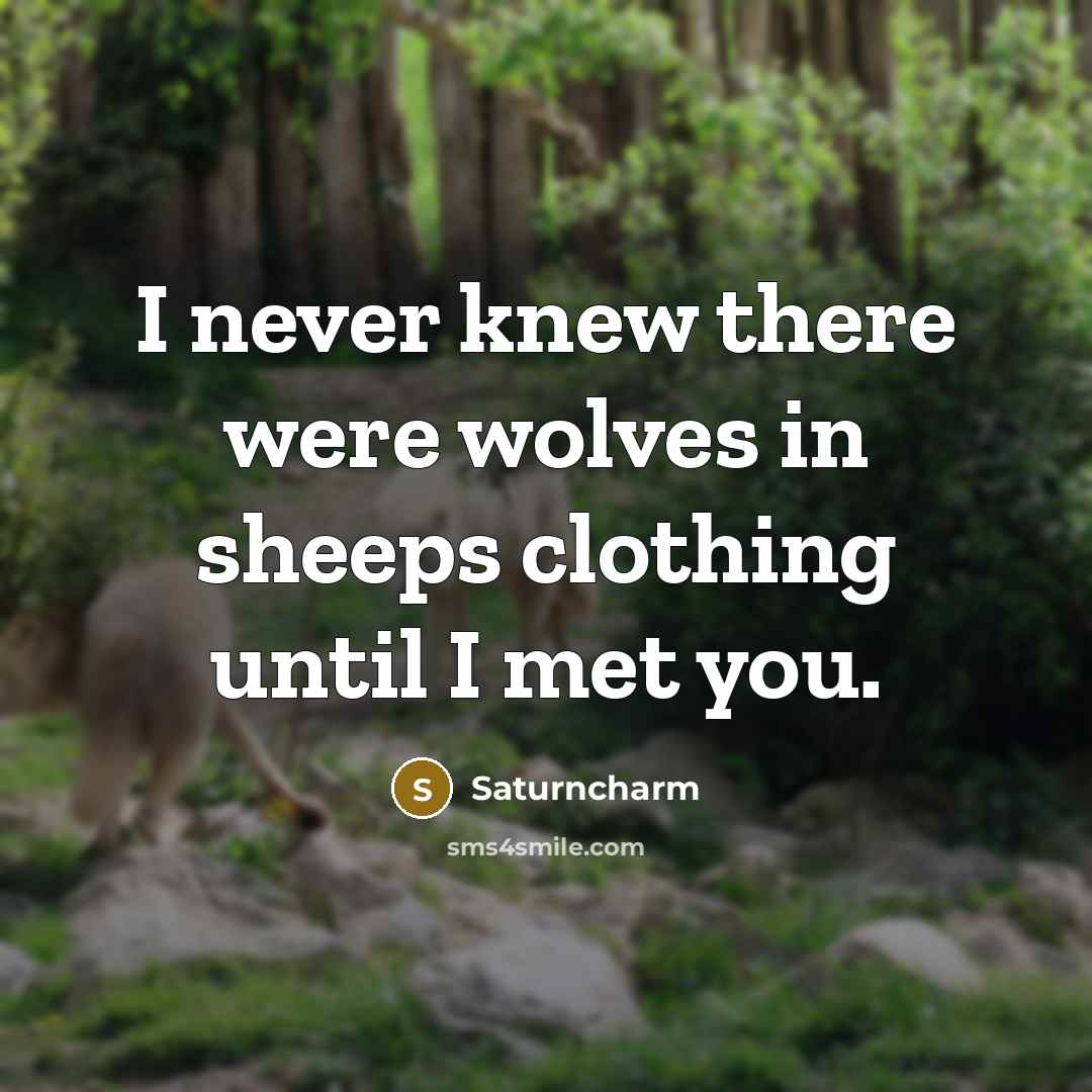 “I never knew there were wolves in sheeps clothing until I met you.” quote by Saturncharm