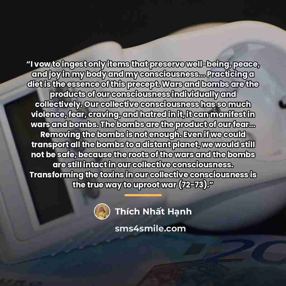 “I vow to ingest only items that preserve well-being, peace, and joy in my body and my consciousness... Practicing a diet is the essence of this precept. Wars and bombs are the products of our consciousness individually and collectively. Our collective consciousness has so much violence, fear…” quote by Thich Nhat Hanh