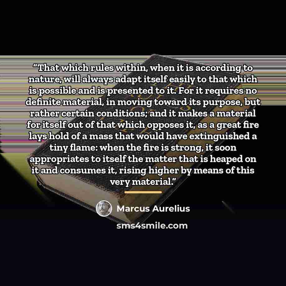 “That which rules within, when it is according to nature, will always adapt itself easily to that which is possible and is presented to it. For it requires no definite material, in moving toward its purpose, but rather certain conditions; and it makes a material for itself out of that which opposes…” quote by Marcus Aurelius