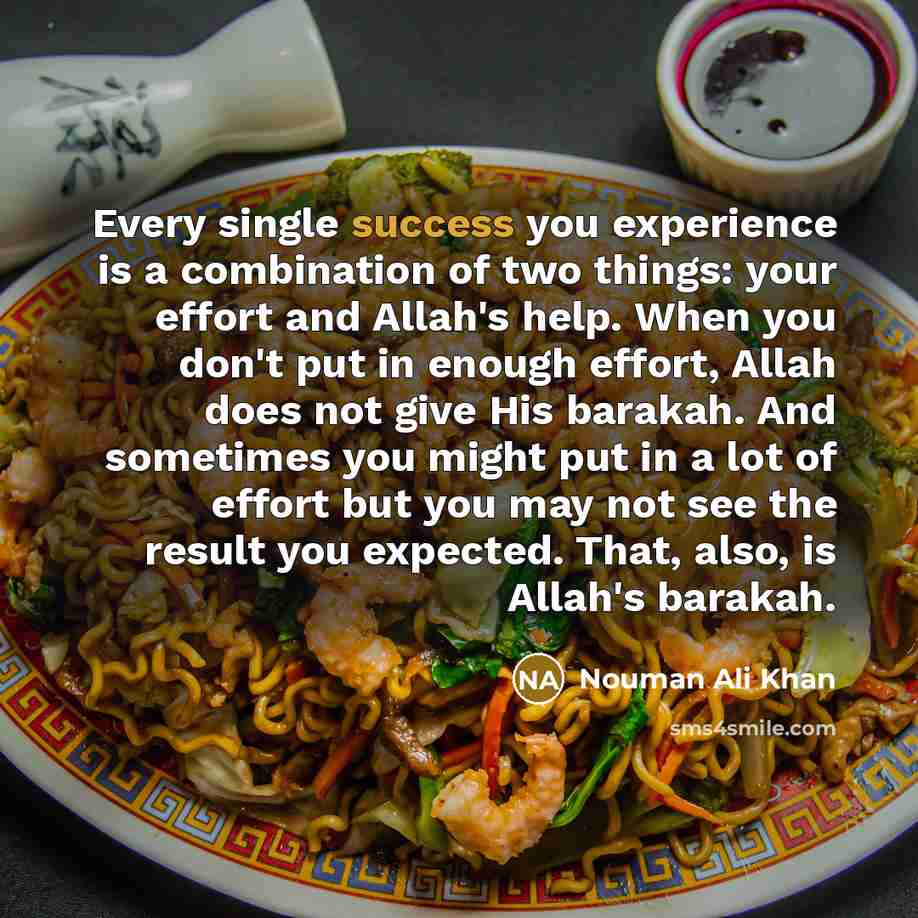 “Every single success you experience is a combination of two things: your effort and Allah's help. When you don't put in enough effort, Allah does not give His barakah. And sometimes you might put in a lot of effort but you may not see the result you expected. That, also, is Allah's barakah.” quote by Nouman Ali Khan