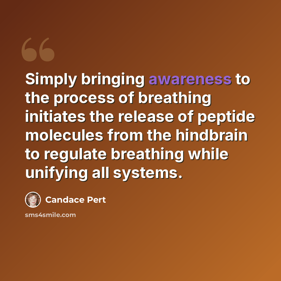 “Simply bringing awareness to the process of breathing initiates the release of peptide molecules from the hindbrain to regulate breathing while unifying all systems.” quote by Candace Pert