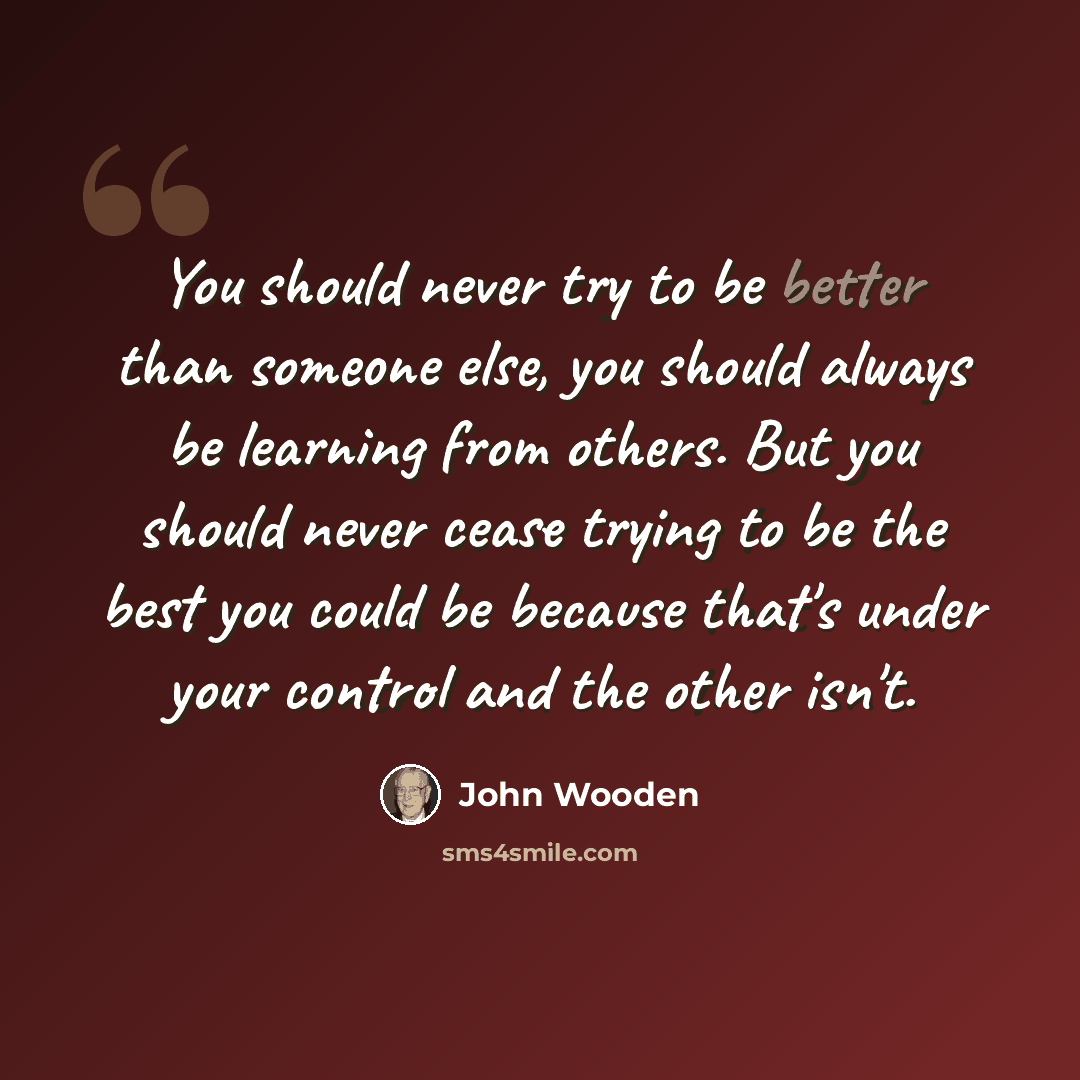 “You should never try to be better than someone else, you should always be learning from others. But you should never cease trying to be the best you could be because that's under your control and the other isn't.” quote by John Wooden
