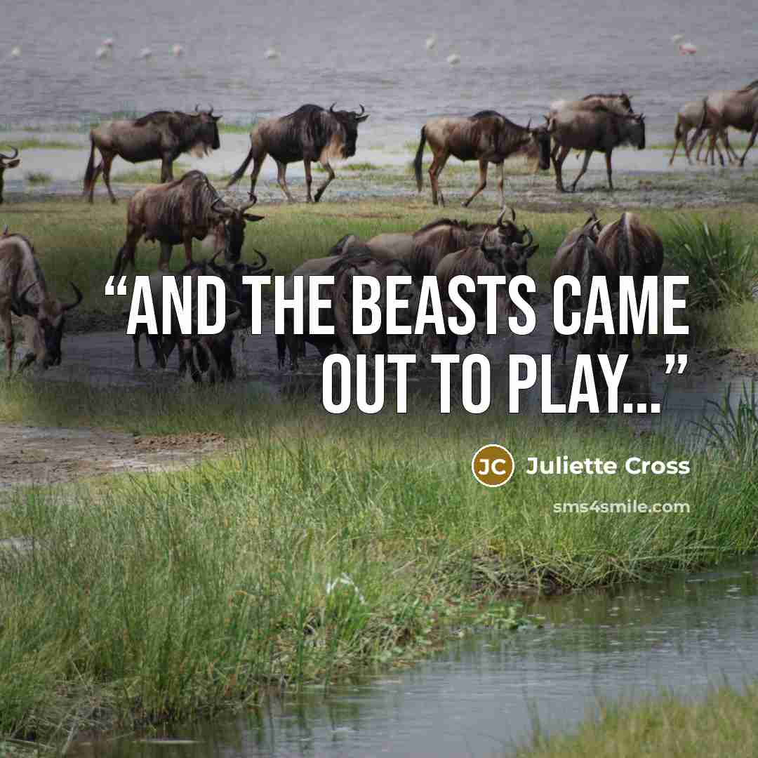 “And the beasts came out to play…” quote by Juliette Cross