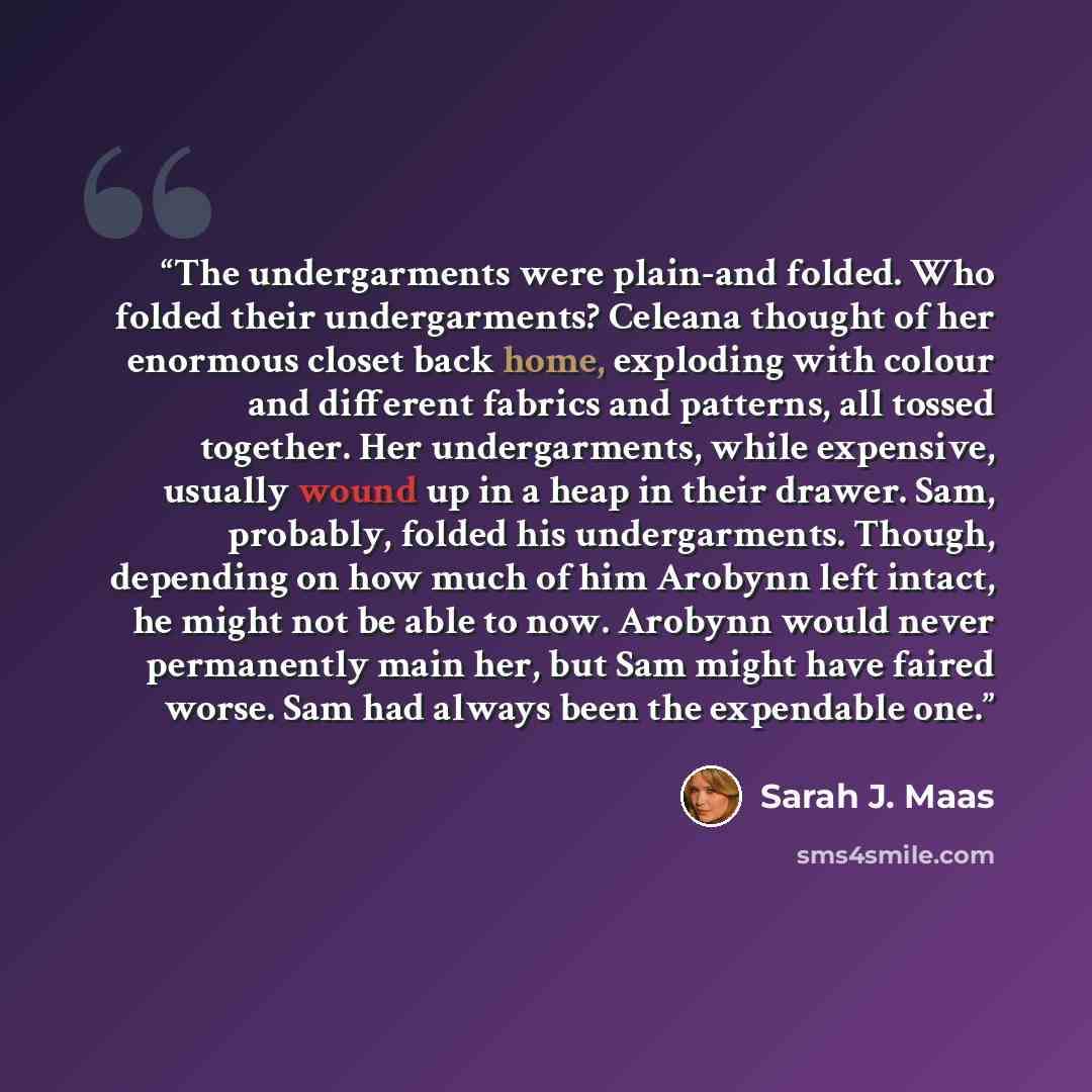 “The undergarments were plain-and folded. Who folded their undergarments? Celeana thought of her enormous closet back home, exploding with colour and different fabrics and patterns, all tossed together. Her undergarments, while expensive, usually wound up in a heap in their drawer. Sam, probably…” quote by Sarah J. Maas