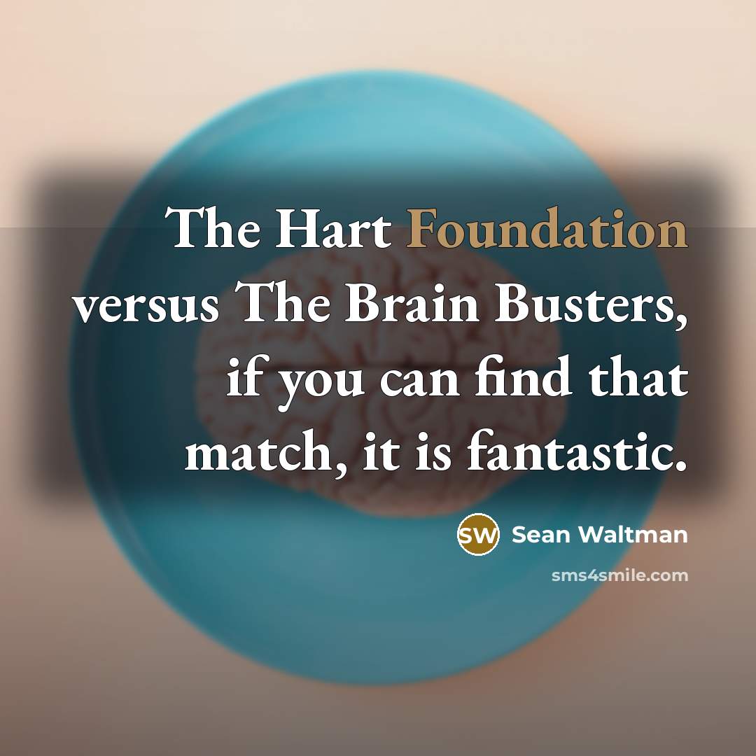 “The Hart Foundation versus The Brain Busters, if you can find that match, it is fantastic.” quote by Sean Waltman